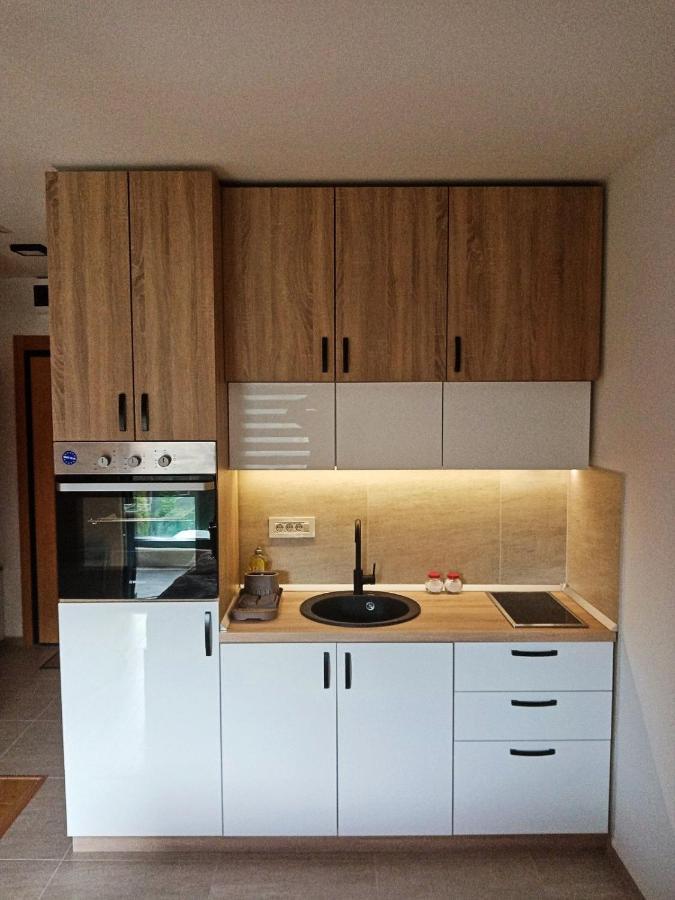 זלאטיבור Studio Apartman Gorski Kristal מראה חיצוני תמונה